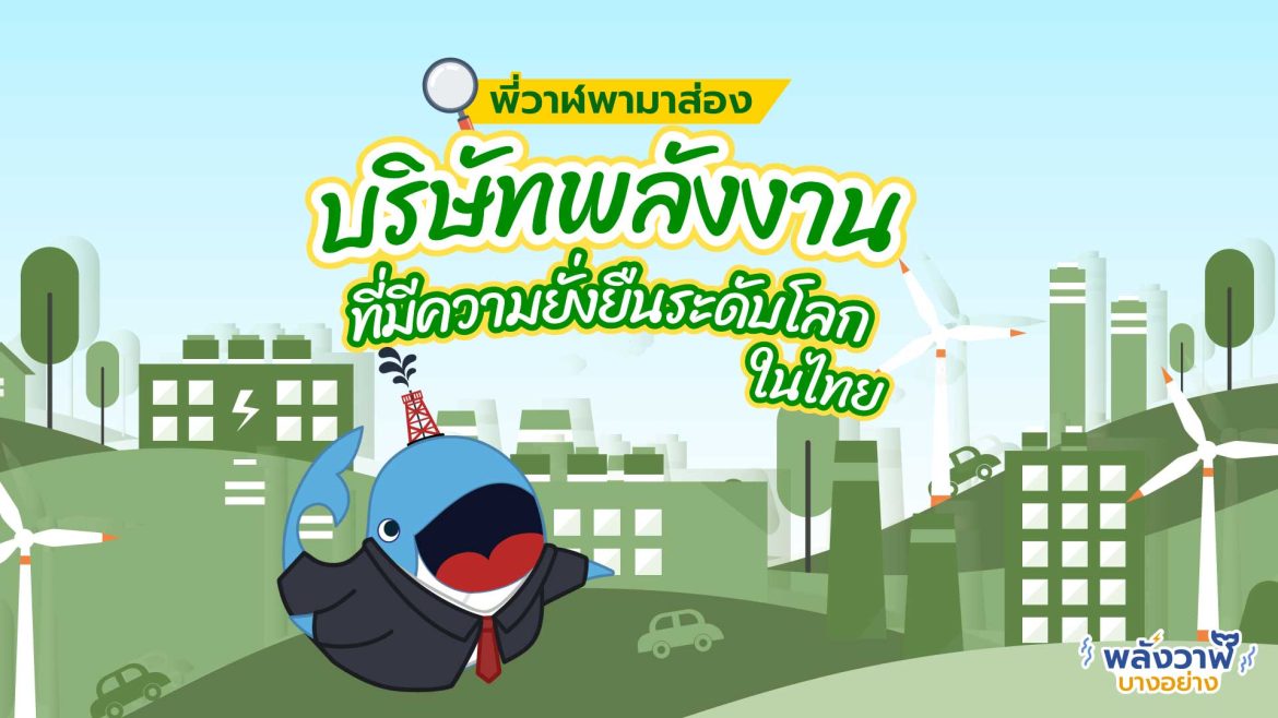 พี่วาฬพามาส่อง บริษัทพลังงานที่มีความยั่งยืนระดับโลกในไทย