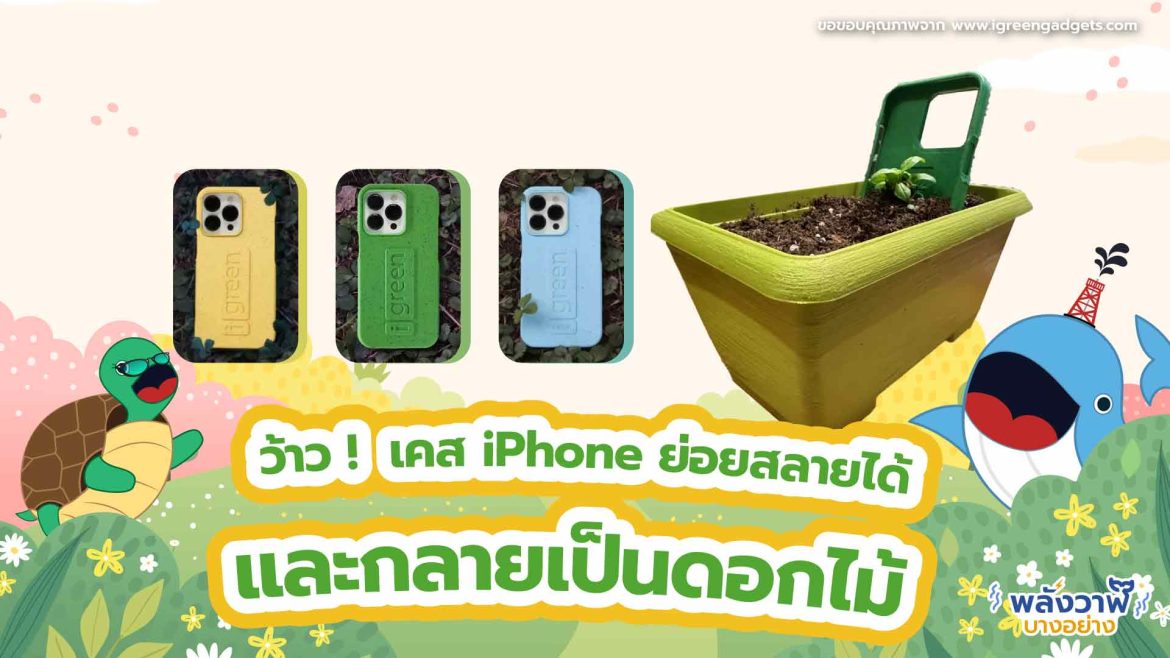 ว้าว !  เคส iPhone ย่อยสลายได้และกลายเป็นดอกไม้