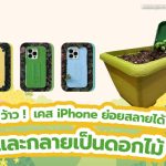 ว้าว ! เคส iPhone ย่อยสลายได้และกลายเป็นดอกไม้, Whale Energy Station