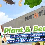 Plant &#038; Bean เทรนด์อาหารแห่งอนาคต! ปลอดภัย ได้รับมาตรฐานสากล, Whale Energy Station