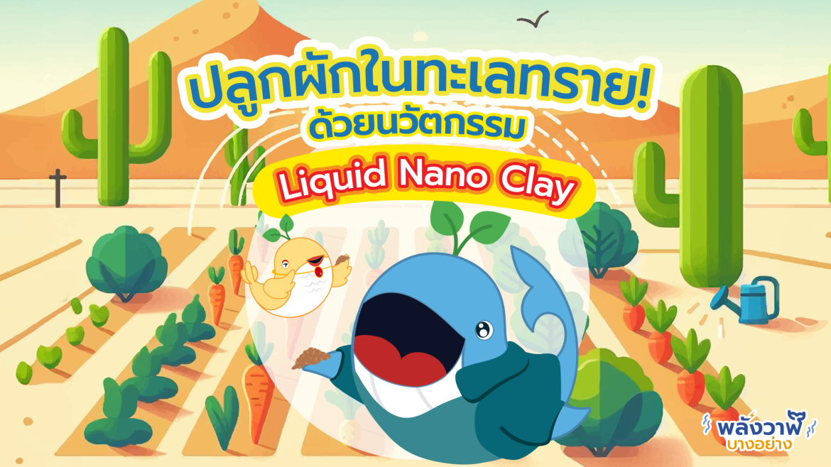 ปลูกผักในทะเลทราย! ด้วยนวัตกรรม Liquid Nano Clay