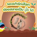 รองเท้ารักษ์โลก ย่อยสลายเป็นปุ๋ยได้, Whale Energy Station