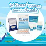 ‘M Sense’ ชุดตรวจโลหะปนเปื้อนในน้ำ, Whale Energy Station