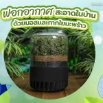 ฟอกอากาศสะอาดในบ้าน ด้วยมอสและกากใยมะพร้าว, Whale Energy Station