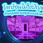 โลกร้อนไม่ใช่ปัญหา ถ้ามนุษย์ควบคุมระบบนิเวศได้, Whale Energy Station