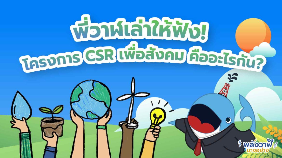 พี่วาฬเล่าให้ฟัง! โครงการ CSR เพื่อสังคมคืออะไรกัน?