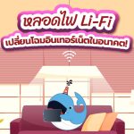 หลอดไฟ Li-Fi เปลี่ยนโฉมอินเทอร์เน็ตในอนาคต!, Whale Energy Station