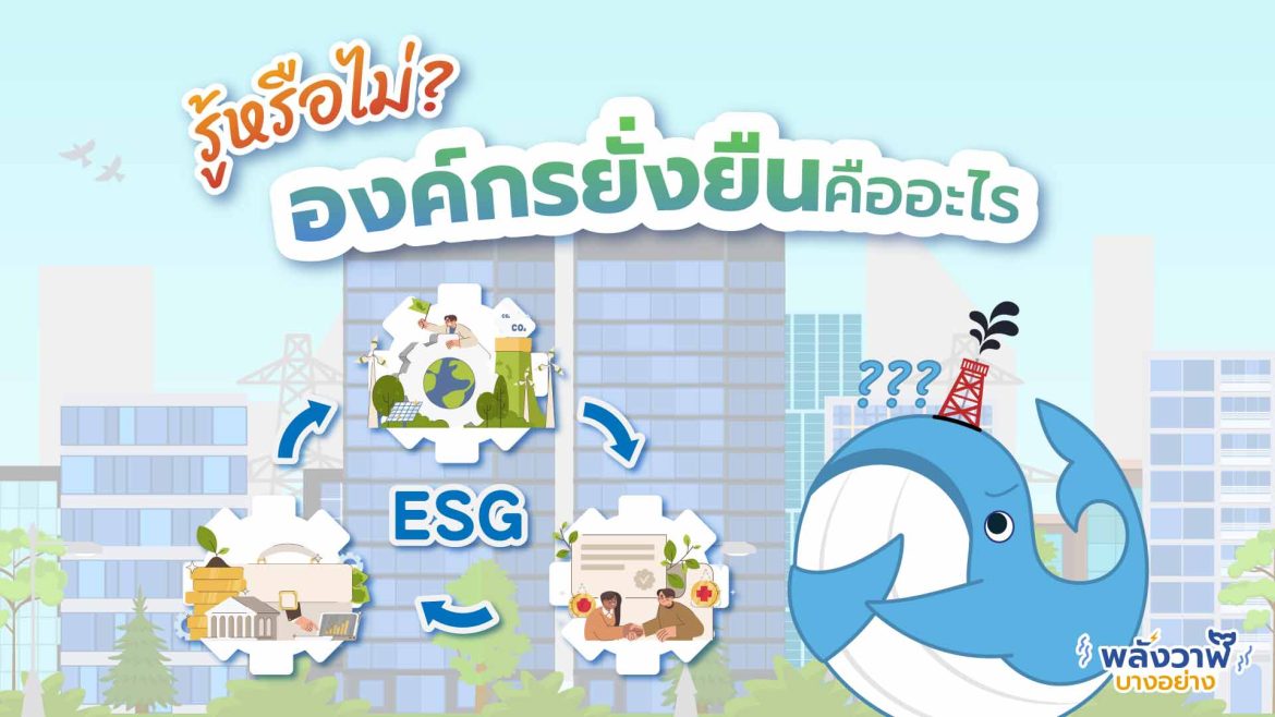 รู้หรือไม่? องค์กรยั่งยืนคืออะไร แล้วทำไมทุกองค์กรต้องสร้างความยั่งยืน