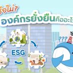 รู้หรือไม่? องค์กรยั่งยืนคืออะไร แล้วทำไมทุกองค์กรต้องสร้างความยั่งยืน, Whale Energy Station