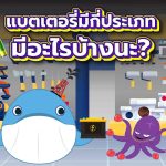 พี่วาฬมาแชร์ แบตเตอรี่มีกี่ประเภท มีอะไรบ้างนะ?, Whale Energy Station
