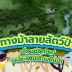 ทางม้าลายสัตว์ป่า เชื่อมชีวิตใหม่บนสะพานเชื่อมผืนป่า, Whale Energy Station