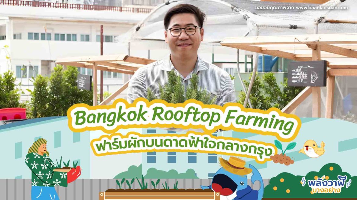 Bangkok Rooftop Farming ฟาร์มผักบนดาดฟ้าใจกลางกรุง