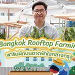 Bangkok Rooftop Farming ฟาร์มผักบนดาดฟ้าใจกลางกรุง, Whale Energy Station
