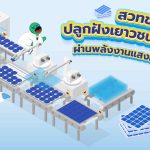 สวทช. ปลูกฝังเยาวชนรักษ์โลก ผ่านพลังงานแสงอาทิตย์!, Whale Energy Station