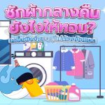 ซักผ้ากลางคืนยังไงให้หอม? เคล็ดลับง่าย ๆ ที่ไม่ต้องง้อแดด, Whale Energy Station