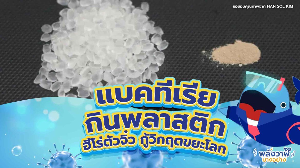 แบคทีเรียกินพลาสติก ฮีโร่ตัวจิ๋ว กู้วิกฤตขยะโลก