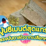 ปูนซีเมนต์สุดแกร่ง! แรงบันดาลใจจากเปลือกหอย, Whale Energy Station