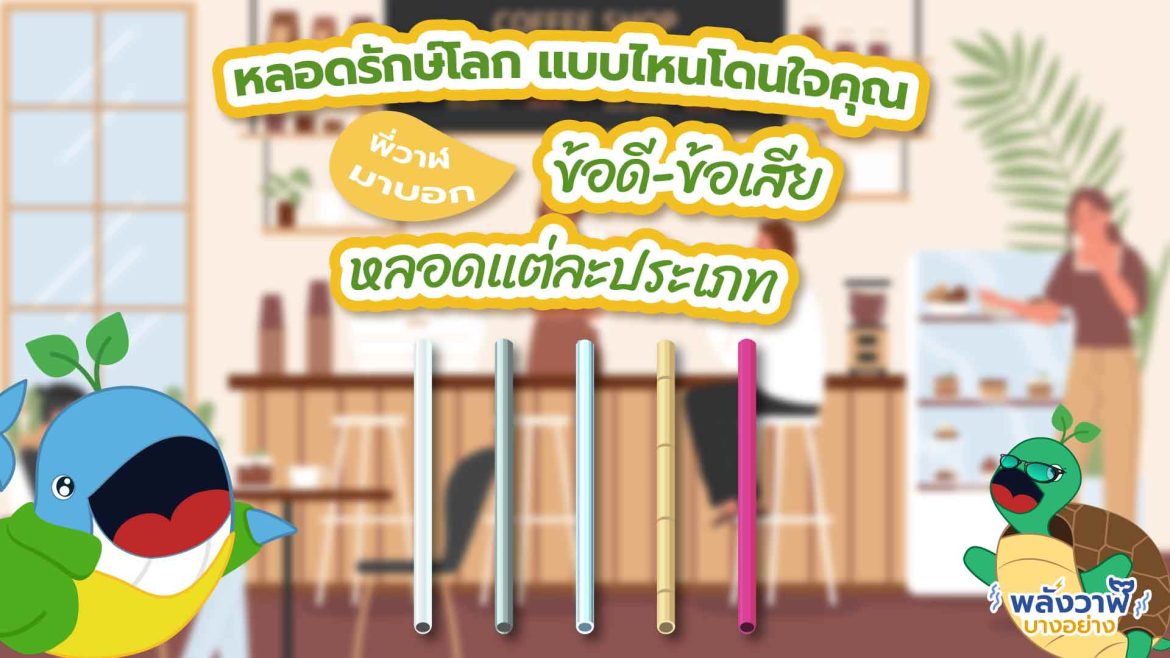 หลอดรักษ์โลก แบบไดนโดนใจคุณ พี่วาฬมาบอก ข้อดี-ข้อเสียหลอดแต่ละประเภท