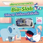 เฝือกขาจากยางพารา Bio-Slab ใส่สบาย ไม่ต้องกลัวอับชื้น, Whale Energy Station