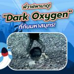 พี่วาฬพามาดู! “Dark Oxygen” ที่ก้นมหาสมุทร!, Whale Energy Station
