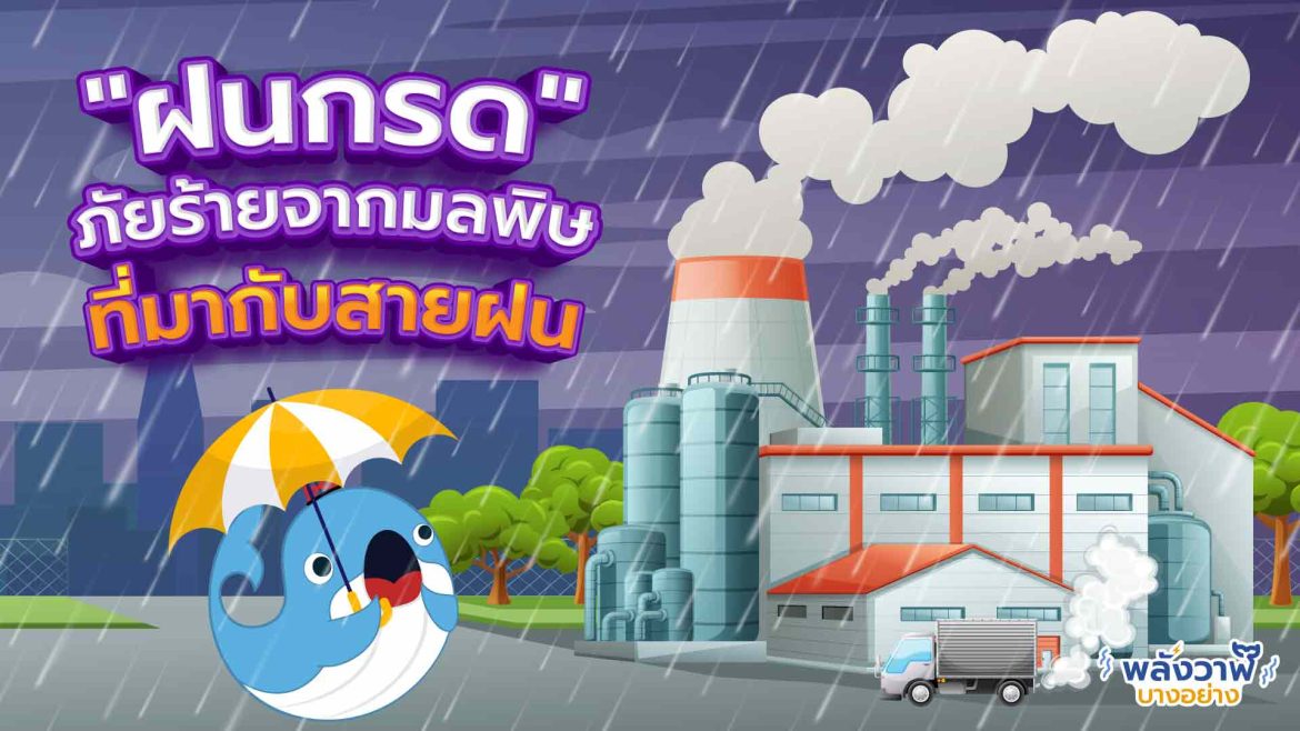 “ฝนกรด” ภัยร้ายจากมลพิษที่มากับสายฝน