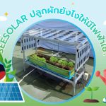 SEESOLAR ปลูกผักยังไงให้มีไฟฟ้าใช้?, Whale Energy Station