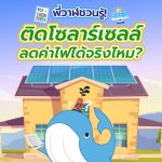 พี่วาฬชวนรู้! ติดโซลาร์เซลล์ ลดค่าไฟได้จริงไหม?, Whale Energy Station