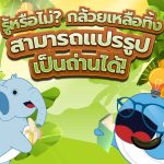 รู้หรือไม่? กล้วยเหลือทิ้ง สามารถแปรรูปเป็นถ่านได้!, Whale Energy Station