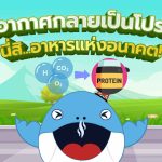 เมื่ออากาศกลายเป็นโปรตีน! นี่สิ…อาหารแห่งอนาคต!, Whale Energy Station