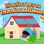 ใช้พลังงานจากโซลาร์เซลล์ไม่หมด ทำไงดี?, Whale Energy Station