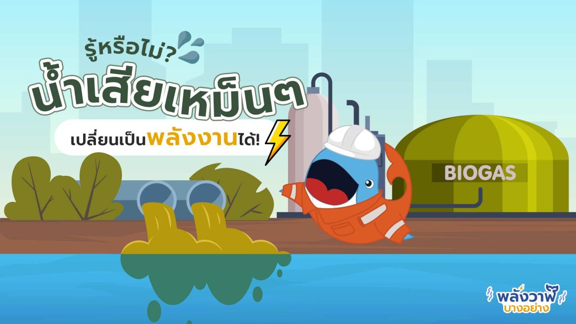 รู้หรือไม่? น้ำเสียเหม็น ๆ เปลี่ยนเป็นพลังงานได้!