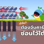 ทำไมเราต้องจับคาร์บอนไปซ่อนไว้ใต้ดิน?, Whale Energy Station