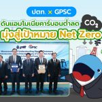 ปตท. ร่วมมือ GPSC ดันแอมโมเนียคาร์บอนต่ำลด CO₂ มุ่งสู่เป้าหมาย Net Zero, Whale Energy Station