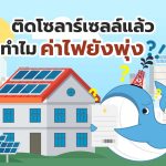 ทำไมติดโซลาร์เซลล์แล้ว ค่าไฟยังพุ่ง?!, Whale Energy Station