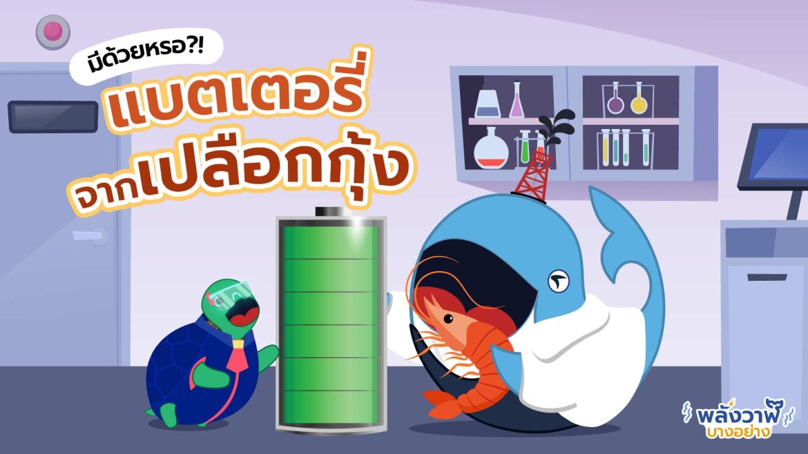 แบตเตอรี่ จากเปลือกกุ้ง?!