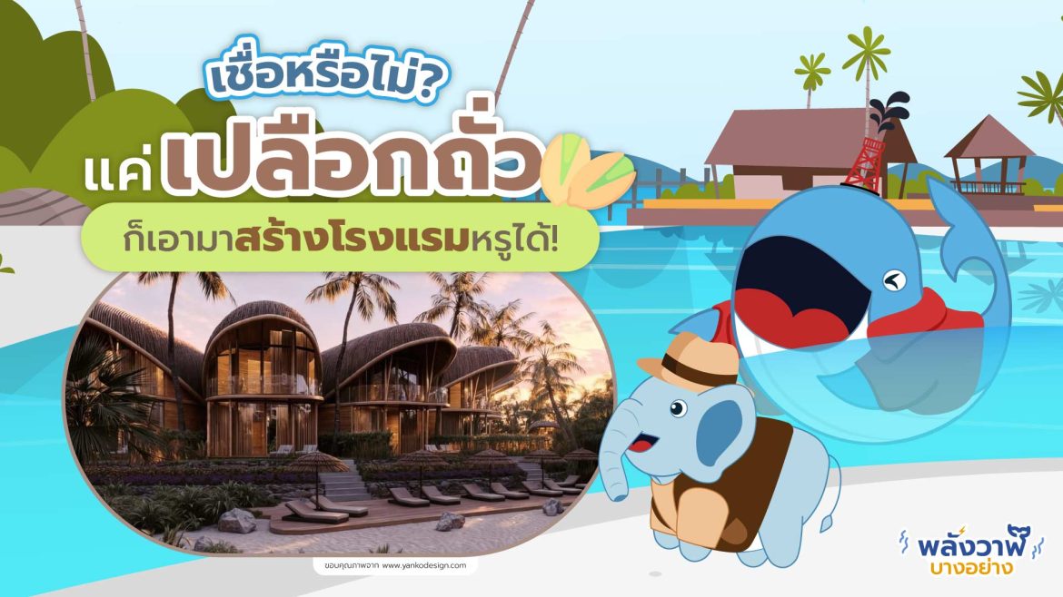 เชื่อหรือไม่? แค่ “เปลือกถั่ว” ก็เอามาสร้างโรงแรมหรูได้!