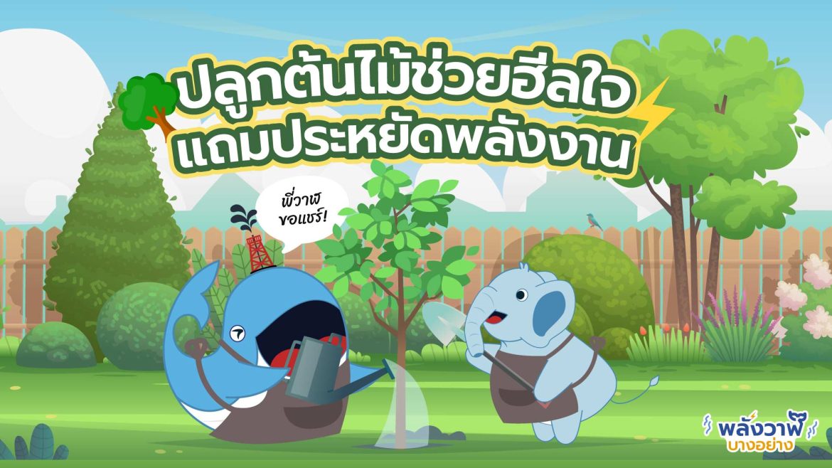 พี่วาฬขอแชร์ ปลูกต้นไม้ช่วยฮีลใจ แถมประหยัดพลังงาน