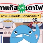 เตาแก๊ส vs เตาไฟฟ้า เตาแบบไหนประหยัดกว่ากัน?!, Whale Energy Station