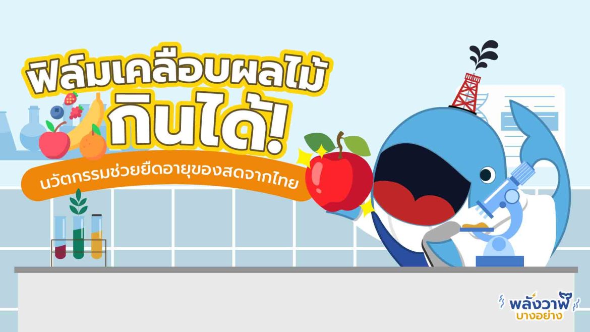 ฟิล์มเคลือบผลไม้กินได้ นวัตกรรมช่วยยืดอายุของสดจากไทย