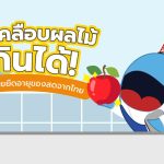 ฟิล์มเคลือบผลไม้กินได้ นวัตกรรมช่วยยืดอายุของสดจากไทย, Whale Energy Station