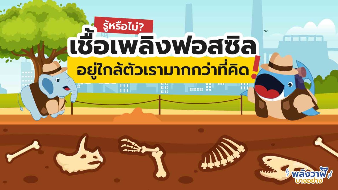 รู้หรือไม่? เชื้อเพลิงฟอสซิลอยู่รอบตัวเรามากกว่าที่คิด!