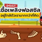 รู้หรือไม่? เชื้อเพลิงฟอสซิลอยู่รอบตัวเรามากกว่าที่คิด!, Whale Energy Station