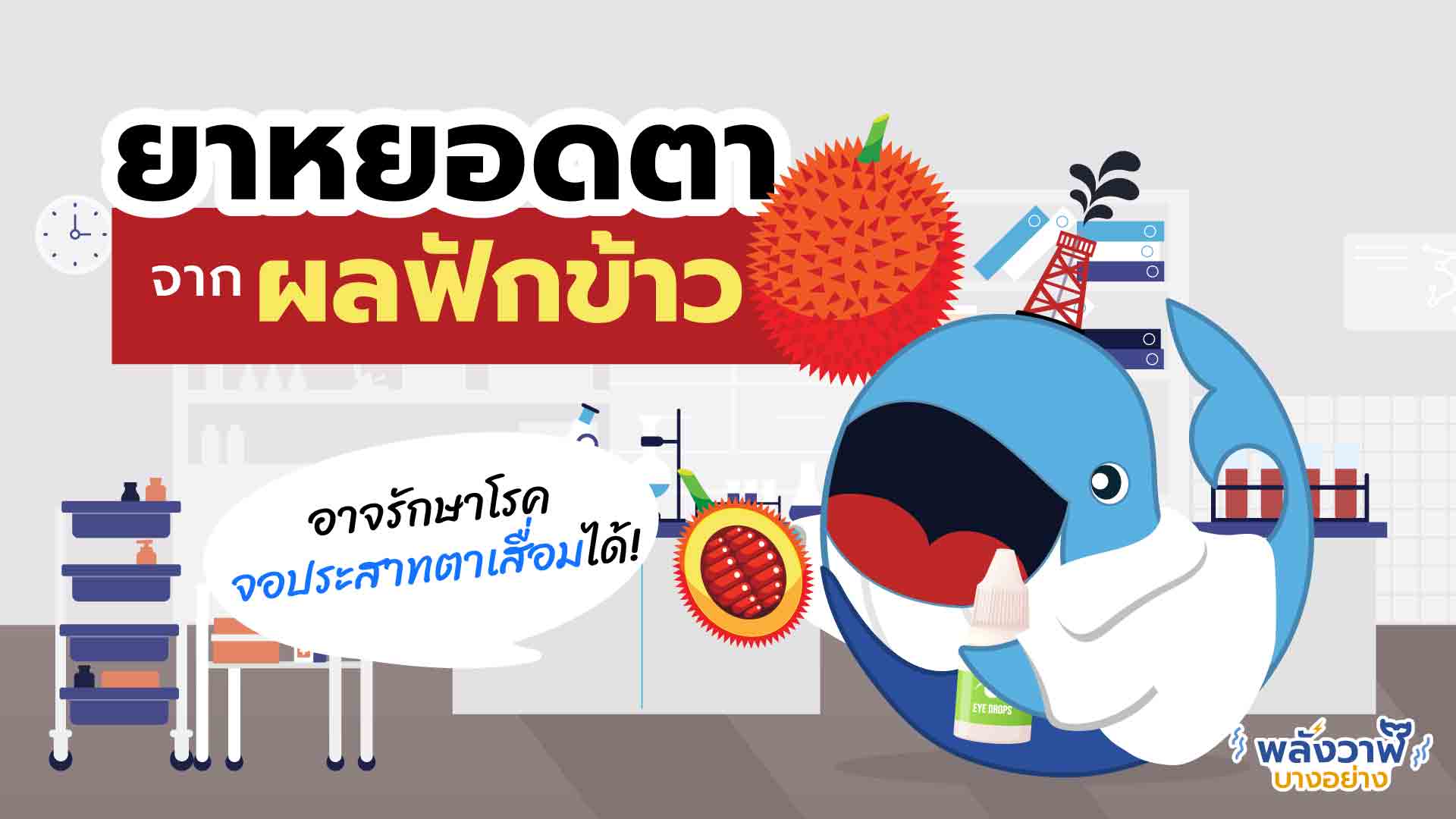 ยาหยอดตาจาก ผลฟักข้าว อาจรักษาโรคจอประสาทตาเสื่อมได้!, Whale Energy Station