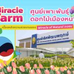Miracle Farm ศูนย์เพาะพันธุ์ดอกไม้เมืองหนาว เบื้องหลังความสวยงามของ Miracle of Natural ระยอง, Whale Energy Station