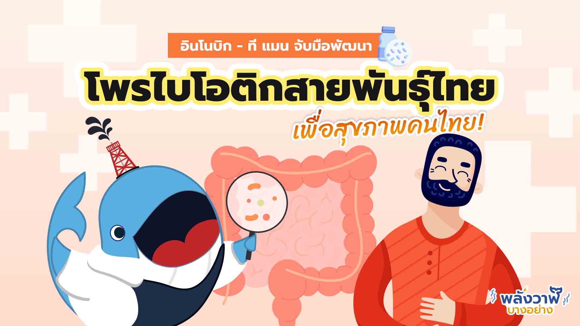 ‘อินโนบิก-ที แมน’ พัฒนาโพรไบโอติกสายพันธุ์ไทย, Whale Energy Station