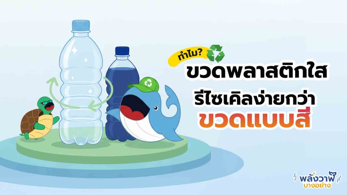 ทำไมขวดพลาสติกใส ถึงรีไซเคิลง่ายกว่าขวดสี