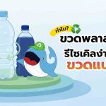 ทำไมขวดพลาสติกใส ถึงรีไซเคิลง่ายกว่าขวดสี, Whale Energy Station