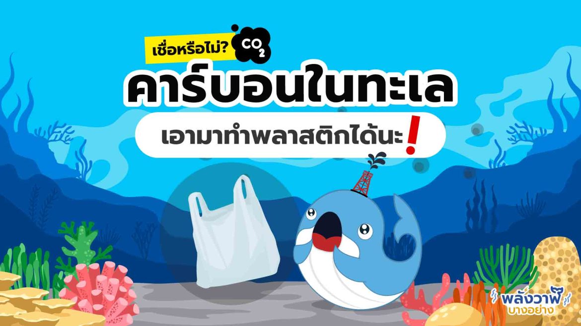 เชื่อหรือไม่? คาร์บอนในทะเล เอามาทำพลาสติกได้นะ!